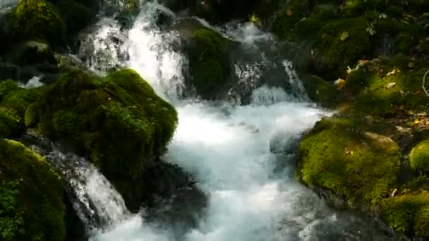 Дивовижна мальовнича гірська річка Бістріка в Чорногорії тече через кам "яні валуни, вкриті зеленим мохом. — стокове відео