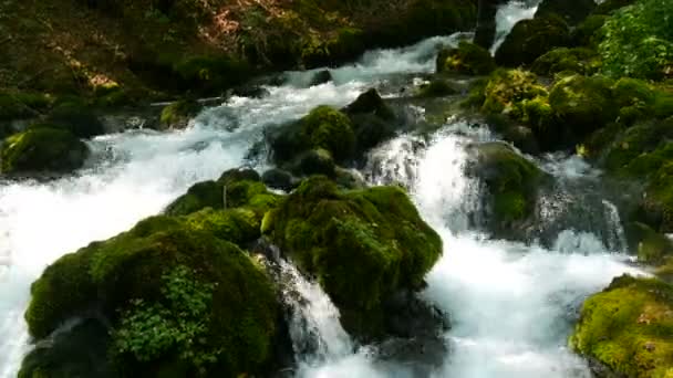 Дивовижна мальовнича гірська річка Бістріка в Чорногорії тече через кам "яні валуни, вкриті зеленим мохом. — стокове відео