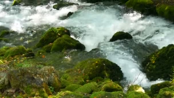 Pazzamente bello pittoresco fiume di montagna Bistrica in Montenegro scorre su massi di pietra ricoperti di muschio verde — Video Stock