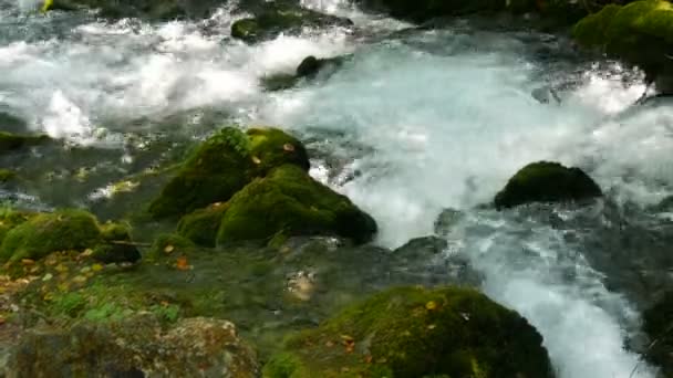 Otroligt vacker pittoresk bergsflod Bistrica i Montenegro rinner över stenblock täckta med grön mossa — Stockvideo