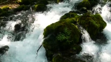 Karadağ 'daki Bistrica Dağı nehri yeşil yosunlarla kaplı taş kayaların üzerinden akıyor