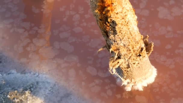 Pilares de madeira de fábrica abandonada de extração de sal em um lago de sal rosa no lago Sivash, Ucrânia — Vídeo de Stock