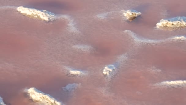 Залежи белой соли на заводе по добыче розовых соленых озер "Сиваш" Херсонской области, Украина — стоковое видео