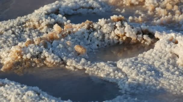 Crustă sărată albă pe fabrica de extracție a lacului sărat Sivash din regiunea Kherson, Ucraina — Videoclip de stoc