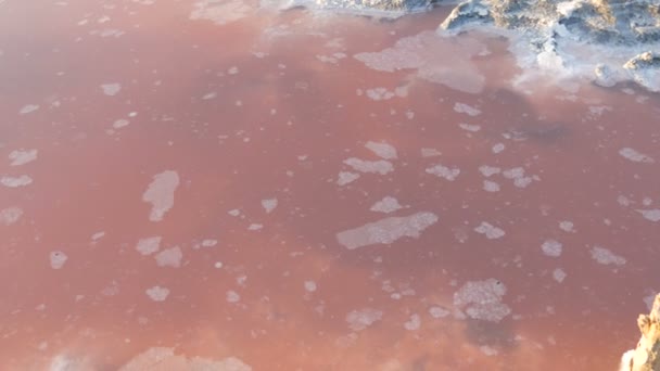 Złoża soli białej w fabryce ekstrakcji różowego jeziora solnego Sivash w obwodzie chersońskim, Ukraina — Wideo stockowe