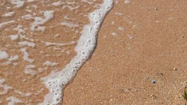 Sea waves, sand on the coast of the Azov Sea, summer day, relax concept — Stock Footage Sea waves, sand on the coast of the Azov Sea, summer day, relax concept Royalty Free Stock Footage