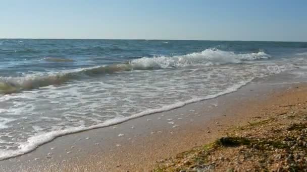 Θαλάσσια κύματα, άμμος στις ακτές της Αζοφικής Θάλασσας, καλοκαιρινή μέρα, χαλαρώστε έννοια — Αρχείο Βίντεο