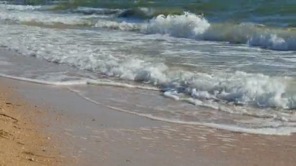 Zee golven, zand aan de kust van de Azov Zee, zomerdag, relax concept — Stockvideo