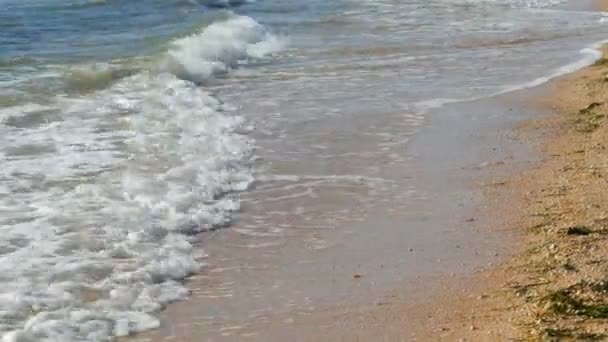 Ondas do mar, areia na costa do Mar de Azov, dia de verão, relaxe conceito — Vídeo de Stock