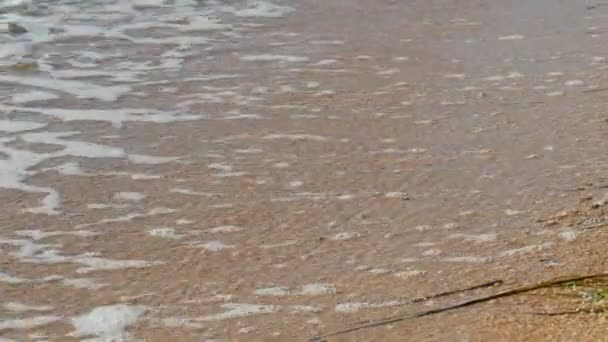 Meereswellen, Sand an der Küste des Asowschen Meeres, Sommertag, Entspannungskonzept — Stockvideo