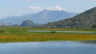 Mavi nehir yeşil vadiden uzak dağlara doğru akıyor. Karadağ milli parkındaki Crnojevica nehrinin kıvrımları ve kıvrımları, Skadar Gölü 'ne giden tepelerin arasında bataklıktan geçiyor.