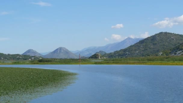 Den fantastiska skönheten i det naturliga landskapet i sjön Skadar, i nationalparken Montenegro från sidan av en flytande båt. Vattenliljor, sötvatten mot bakgrund av berg. Jungfrulig natur — Stockvideo