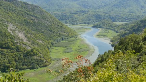 Río azul que fluye a través del valle verde hacia montañas distantes. Curvas y curvas del río Crnojevica en el parque nacional de Montenegro, serpenteando a través del pantano entre colinas en camino al lago Skadar — Vídeos de Stock