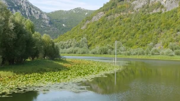 Río azul que fluye a través del valle verde hacia montañas distantes. Curvas y curvas del río Crnojevica en el parque nacional de Montenegro, serpenteando a través del pantano entre colinas en camino al lago Skadar — Vídeos de Stock