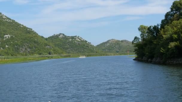 Den praktfulle skjønnheten i det naturlige landskapet i Lake Skadar, i nasjonalparken i Montenegro fra siden av en flytende båt. Vannliljer, ferskvann mot bakteppe av fjell. Jomfru natur – stockvideo