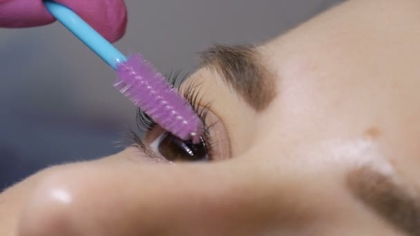 Visage de jeune fille procédure moderne de laminage des cils dans un salon de beauté professionnel. Le maître peigne les cils avec une brosse spéciale pendant la procédure de frisage des cils avec une brosse spéciale — Video