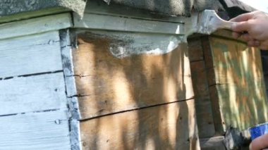 Yaz için arı kovanının bahar hazırlığı. Erkek arı yetiştiricisi ahşap tahtaları boyamak için özel beyaz boya ve fırça kullanıyor.