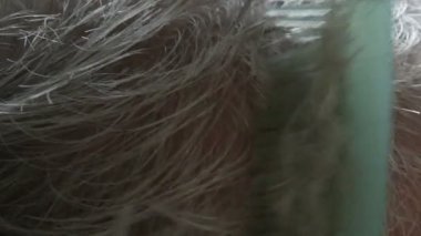 Evsiz, yaşlı bir adamın saç kesimi. Kadın elleri, evsiz barınağında taraklı ve makaslı beyaz saçlı bir adam tarafından kesilir.
