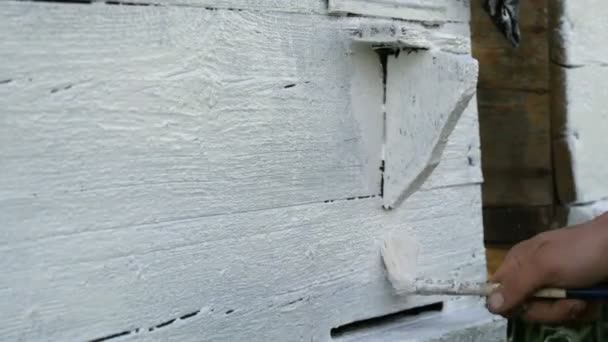 夏のための蜂の巣の春の準備。木製の板をペイントするために特別な白い塗料とブラシを使用して男性養蜂家 — ストック動画