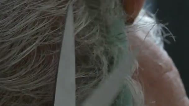 Corte de cabelo de um idoso sem-abrigo. As mãos das mulheres são cortadas homem cabelo branco com um pente e tesoura em um abrigo sem-teto, vista de perto — Vídeo de Stock