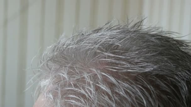 Haircut of a homeless elderly man. Womens hands are cut white hair man with a comb and scissors in a homeless shelter, close up view — Stock Video