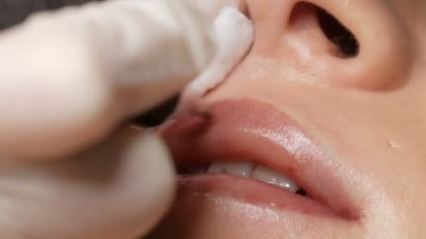 Cosmetologist making lips microblading permanent procedure using tattoo machine pink pigment. Beautician applying pigment makeup on woman lips. Beauty industry concept in beautician salon close up — Stock Video