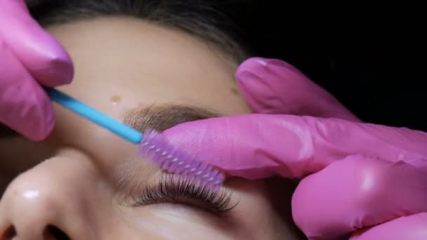 Gesicht des jungen Mädchens moderne Wimpernkaschierung Verfahren in einem professionellen Schönheitssalon. Der Meister kämmt die Wimpern während des Wimpernkräuselverfahrens mit einer speziellen Bürste — Stockvideo