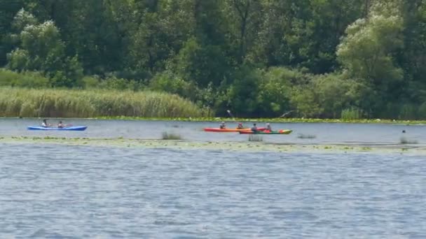 Kajakozás a folyón. Egy csapat sportoló úszik kajakokban egy nyári napon a folyón. Utazás Vízi turizmus Nyaralás. — Stock videók