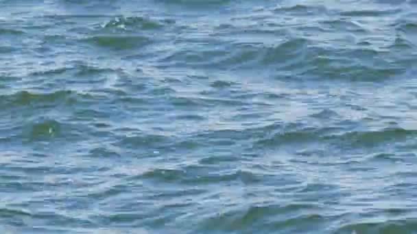 Маленькі хвилі на прісноводному водосховищі Дніпра. Вид на поверхню води зблизька.. — стокове відео