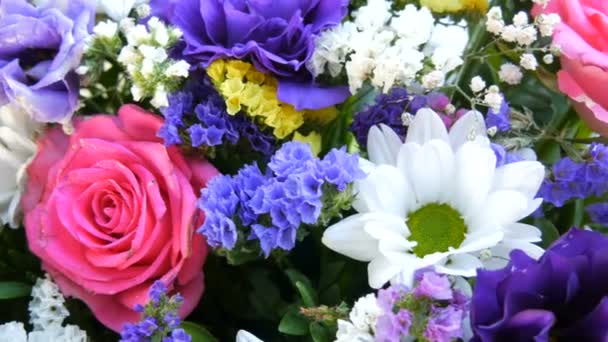 Un beau bouquet élégant de diverses fleurs multicolores de marguerites, roses, fleurs séchées. Bouquet de mariée festif de fleurs blanches, roses, bleues, violettes, jaunes — Video