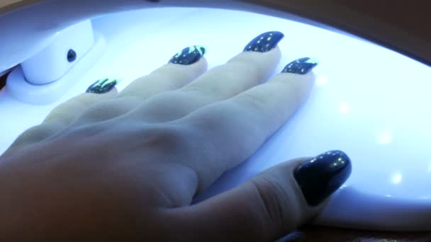Услуги маникюрного салона. Женские руки сушат свеженанесенный гель для ногтей в специальном ультрафиолетовом сушилке — стоковое видео