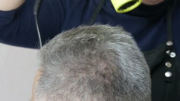 Secador de cabelo verde brilhante elegante sopra o excesso de cabelos grisalhos cortados de um homem de meia-idade em um salão de cabeleireiro — Vídeo de Stock