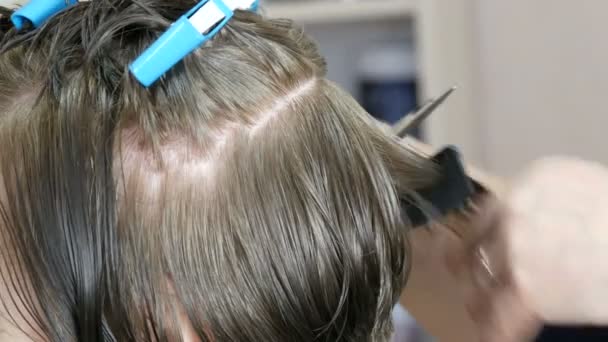 As mãos femininas de um cabeleireiro fazem um bob curto cortam no cabelo grisalho e cortam os fins do cliente. Grampos de cabelo especiais de cabeleireiros em uma cabeça de mulher — Vídeo de Stock