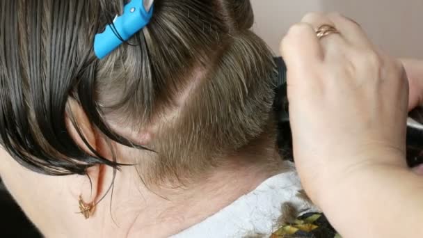 De vrouwelijke handen van een kapper maken een korte bob gesneden op grijs haar en knippen de uiteinden van de klant. Speciale haarspelden voor kappers op een vrouwenhoofd — Stockvideo