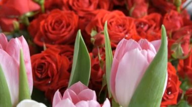 Kırmızı küçük dekoratif gül goncalarının yanında güzel beyaz ve pembe bahar laleleri. Bir kadın için narin bir buket