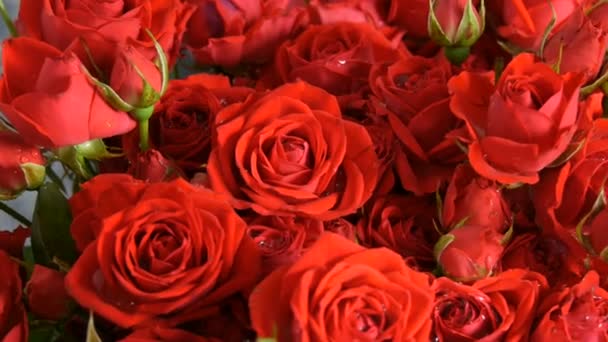 Όμορφο μπουκέτο από πορτοκαλί-κόκκινο τριαντάφυλλο μπουμπούκια. Τριαντάφυλλα σε ένα βάζο στο δωμάτιο — Αρχείο Βίντεο