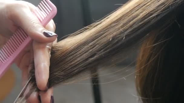 Il parrucchiere di donna taglia fini di capelli di cliente. Taglio di capelli in un salone di parrucchiere professionale. Parrucchiere taglio capelli castani con le forbici — Video Stock