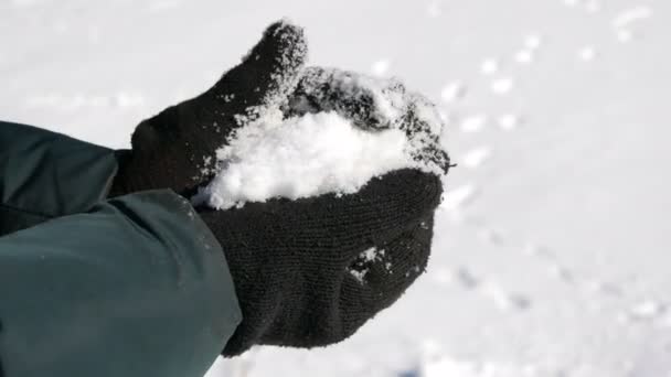 Händerna i svarta handskar håller vit snö och försöka skulptera en snöboll på bakgrunden av en vinter solig dag — Stockvideo