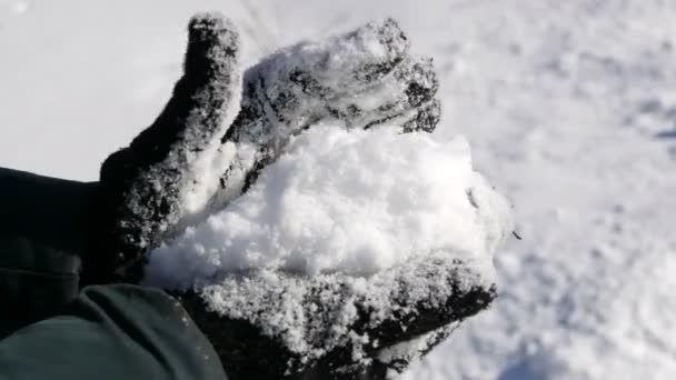 Händerna i svarta handskar håller vit snö och försöka skulptera en snöboll på bakgrunden av en vinter solig dag — Stockvideo