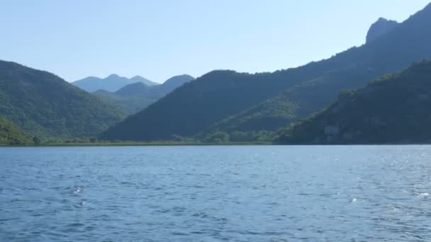 Fiume blu che scorre attraverso la valle verde verso montagne lontane. curve e curve del fiume Crnojevica nel parco nazionale del Montenegro, serpeggiando attraverso la palude tra le colline sulla strada per il lago Skadar — Video Stock