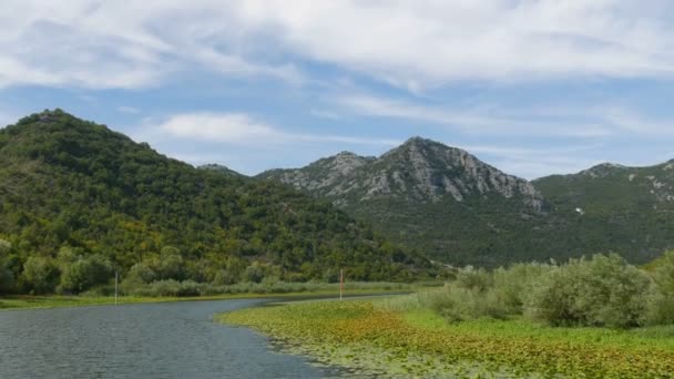 Η εκπληκτική ομορφιά του φυσικού τοπίου της λίμνης Skadar, στο εθνικό πάρκο του Μαυροβουνίου από την πλευρά ενός πλωτού σκάφους. Λίλιουμ, φρέσκο νερό με φόντο τα βουνά. Παρθένος φύση — Αρχείο Βίντεο