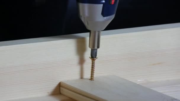 Die Schraubpistole schraubte Schrauben oder selbstschneidende Schrauben in eine Holzplatte. Zimmermannsberuf — Stockvideo