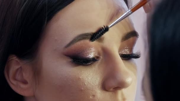 Speciale penseel voor wenkbrauwvorming. Professionele make-up make-up kunstenaar maakt make-up aan een jong mooi meisje in een beauty studio — Stockvideo