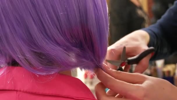 Violet lila korte pruik onder de bob, die wordt gekamd en gesneden door de handen van de kapper van de make-up kunstenaar — Stockvideo
