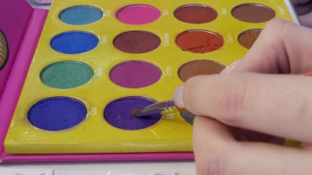 Palette multicolore avec ombres. Fard à paupières bleu appliqué sur un pinceau de maquillage — Video
