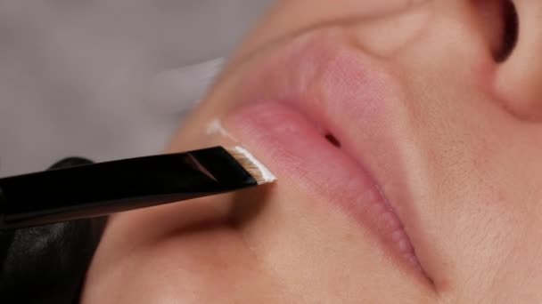 Microblading maquillage permanent avec un pinceau spécial avec de la peinture blanche applique les contours corrects de la correction de la forme de la lèvre pour la procédure future vue de près — Video