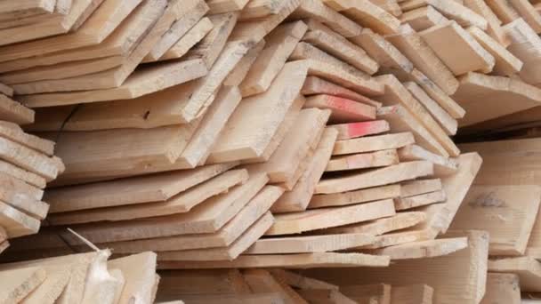 Αποθήκη λεπτών ξύλινων σανίδων για κατασκευές στο δρόμο. Κενά για μελλοντικές κατασκευές — Αρχείο Βίντεο