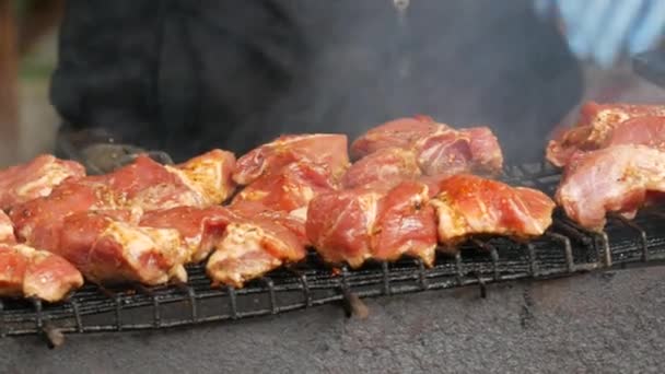 Shish kebab. Varkens- of lamsvleesstukken worden gebakken op een houtskoolgrill. Bakken gegrilde stukken vlees tijdens de rest. Straatvoedsel. Voedselfestival. Varken op de brandstapel. Gebakken varkensvlees. — Stockvideo