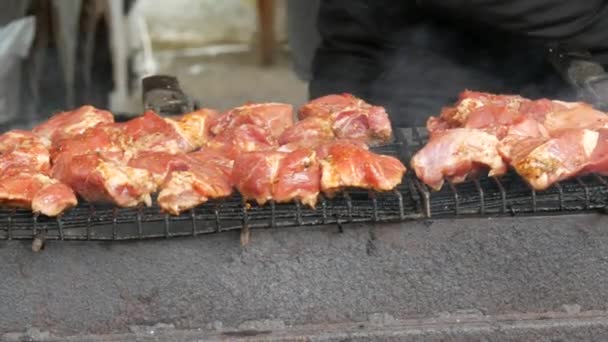 Shish kebab. Varkens- of lamsvleesstukken worden gebakken op een houtskoolgrill. Bakken gegrilde stukken vlees tijdens de rest. Straatvoedsel. Voedselfestival. Varken op de brandstapel. Gebakken varkensvlees. — Stockvideo