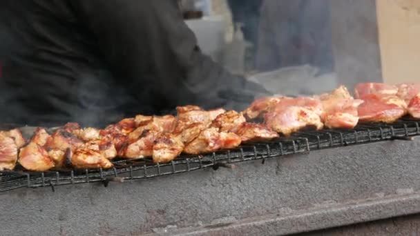 Close-up of grilling dish on barbecue. Process of cooking shashlik in nature. Delicious food on metal skewer in bbq. Time to picnic concept. Street food. Food festival. Pork at the stake. Fried pork. — Stock Video